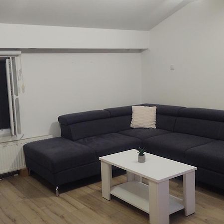 Apartman Big 诺威萨 外观 照片